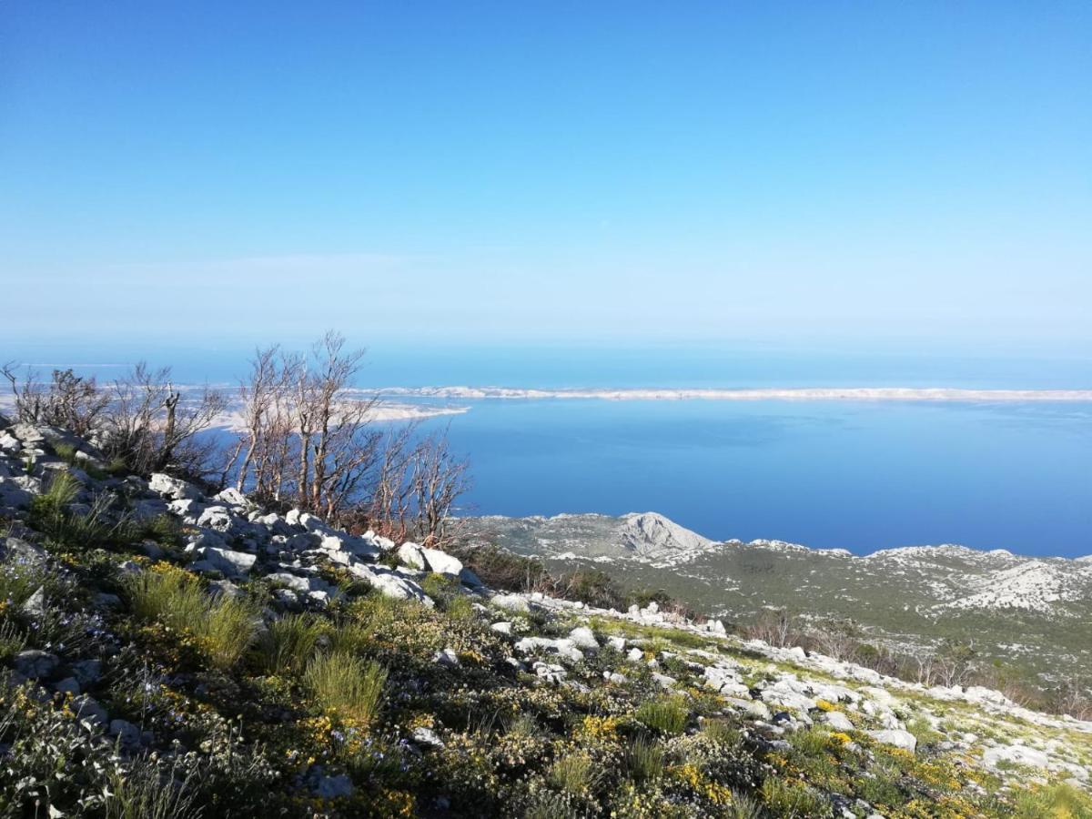 Nautica Daire Sveti Juraj Dış mekan fotoğraf